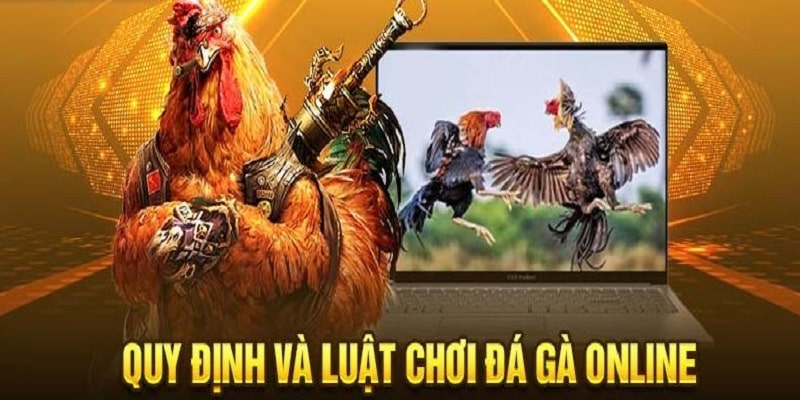 Luật chơi đá gà tại 8xbet